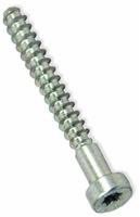 Śruba z łbem cylindrycznym IS-P6x50